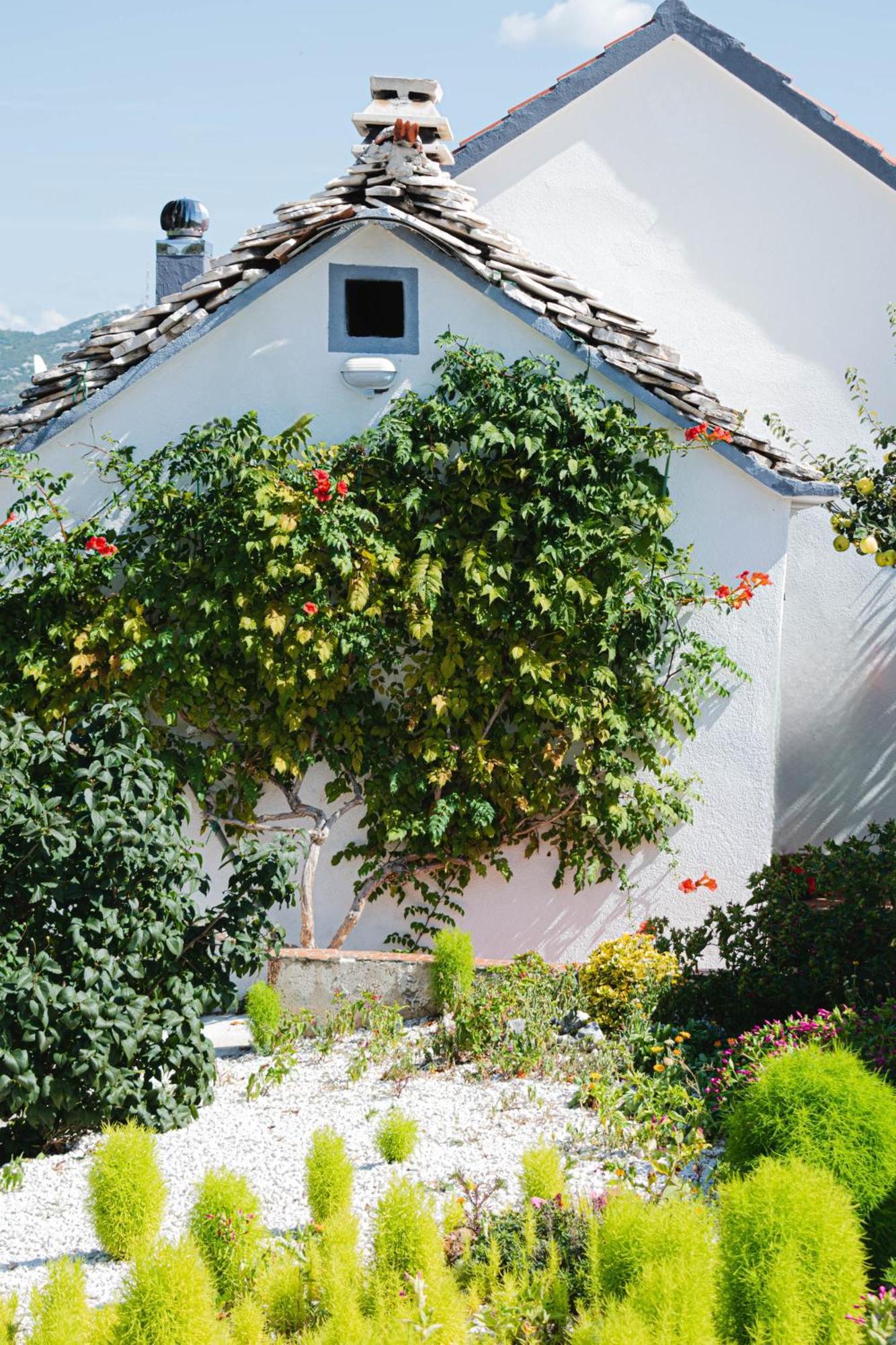 Villa House Camellia With Fenced Pool And Playground à Blizna Donja Extérieur photo